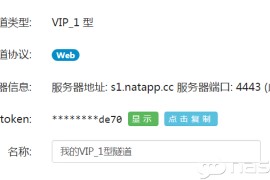 使用NATAPP做无公网IP外网访问群晖