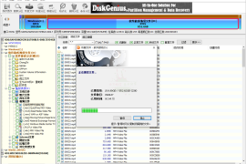 DiskGenius 5.1.1.696专业版下载