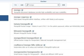 群晖Nas  Docke 部署Rocket.Chat 私人聊天服务器及反向代理https访问教程（支持群晖最新版本DSM7.x）